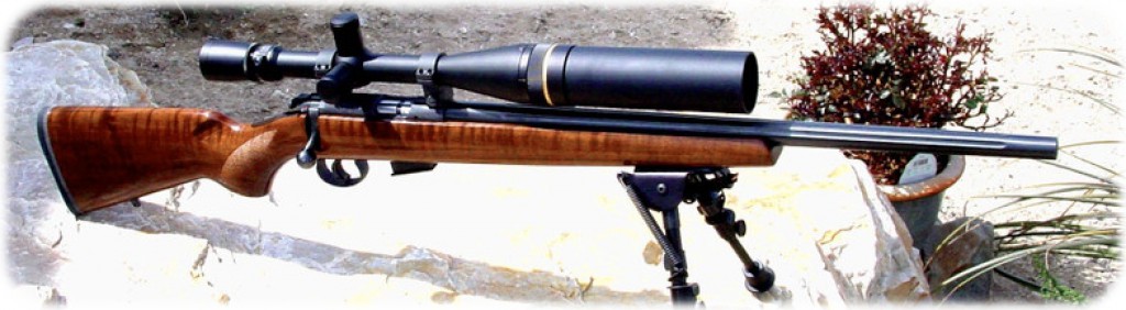 best scope for 17 hmr review