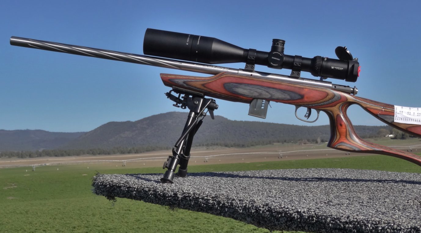 Best Sniper Rifles: Top Reviewed for 2022