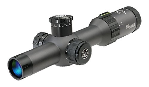 best scopes for 300 blackout