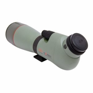 best spotting scope for birding