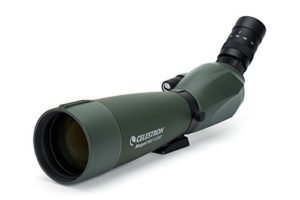 best spotting scope for birding